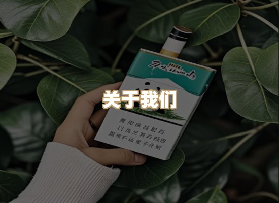 关于云歌烟网